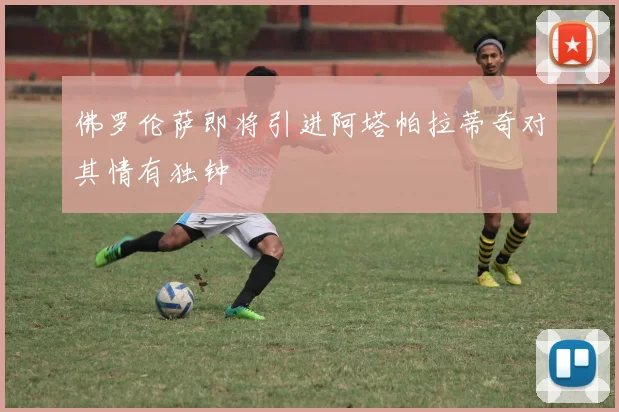 佛罗伦萨即将引进阿塔帕拉蒂奇对其情有独钟
