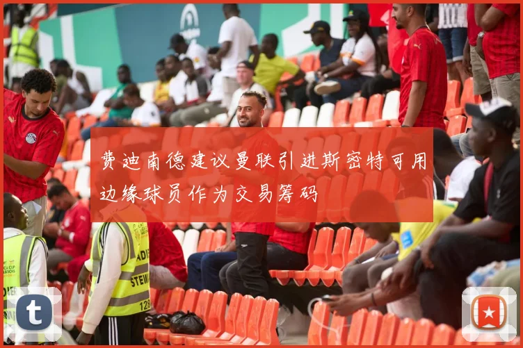 费迪南德建议曼联引进斯密特可用边缘球员作为交易筹码